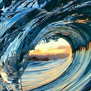 Meet your Posher, Brie